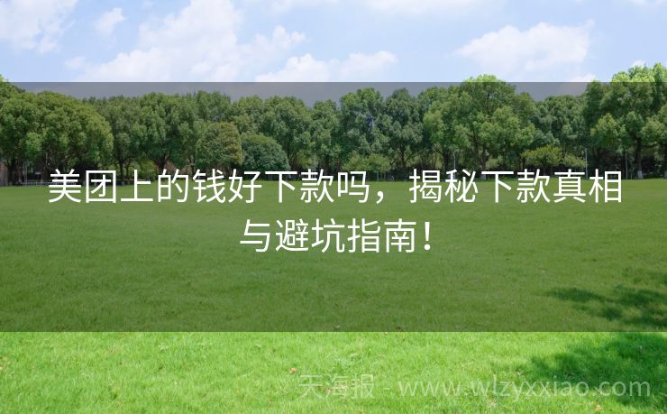美团上的钱好下款吗，揭秘下款真相与避坑指南！