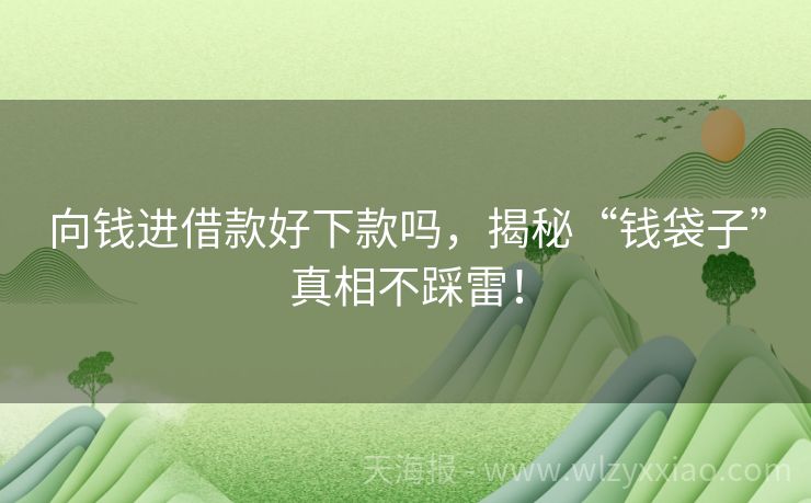 向钱进借款好下款吗，揭秘“钱袋子”真相不踩雷！