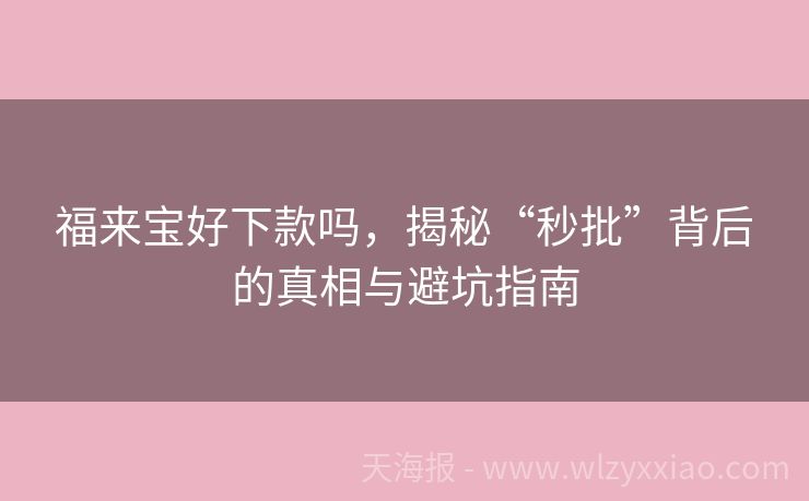 福来宝好下款吗，揭秘“秒批”背后的真相与避坑指南
