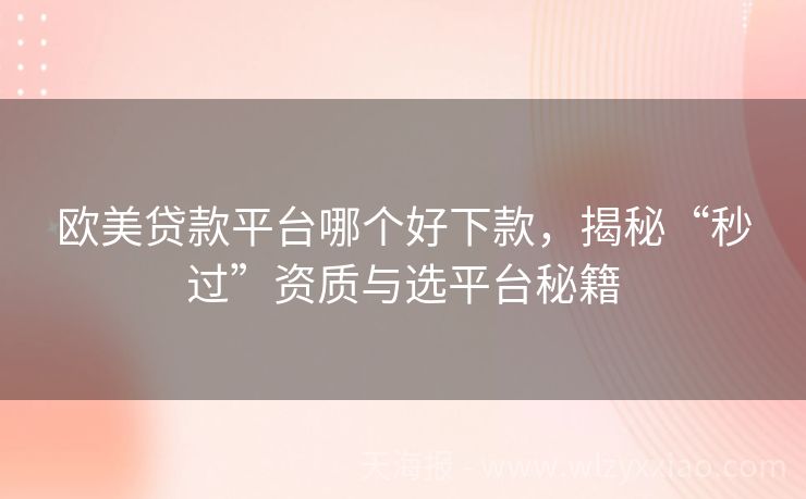 欧美贷款平台哪个好下款，揭秘“秒过”资质与选平台秘籍