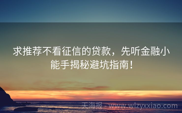 求推荐不看征信的贷款，先听金融小能手揭秘避坑指南！
