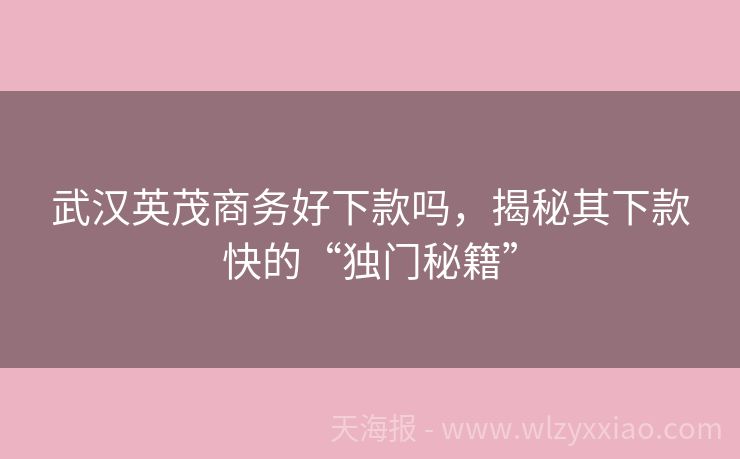 武汉英茂商务好下款吗，揭秘其下款快的“独门秘籍”