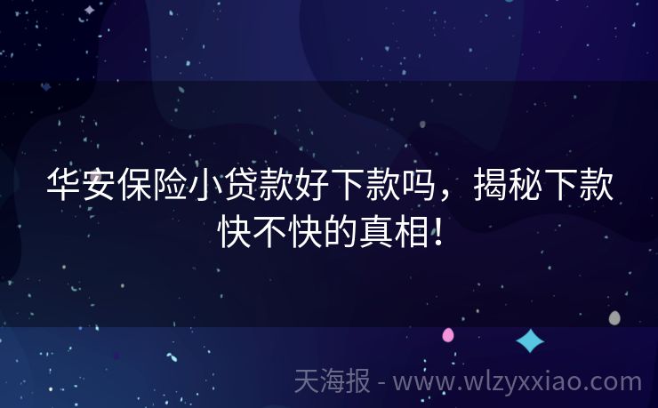 华安保险小贷款好下款吗，揭秘下款快不快的真相！