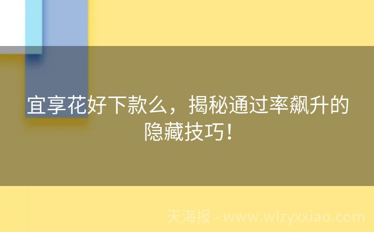 宜享花好下款么，揭秘通过率飙升的隐藏技巧！