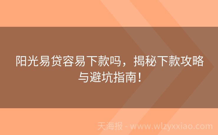 阳光易贷容易下款吗，揭秘下款攻略与避坑指南！