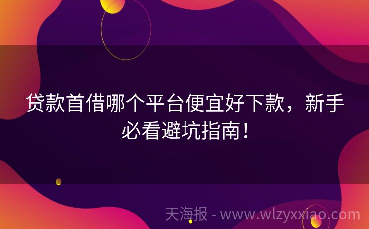 贷款首借哪个平台便宜好下款，新手必看避坑指南！