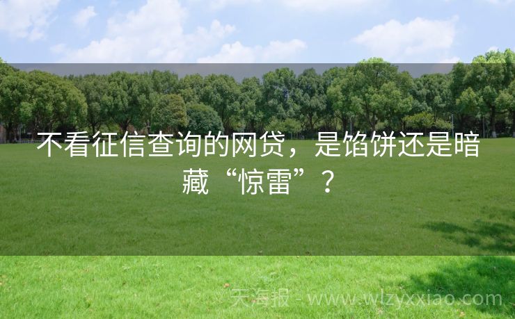 不看征信查询的网贷，是馅饼还是暗藏“惊雷”？