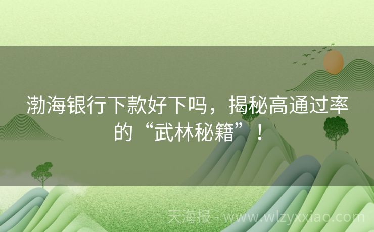 渤海银行下款好下吗，揭秘高通过率的“武林秘籍”！