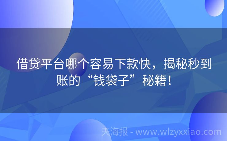借贷平台哪个容易下款快，揭秘秒到账的“钱袋子”秘籍！