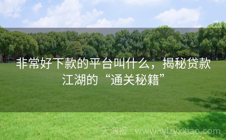 非常好下款的平台叫什么，揭秘贷款江湖的“通关秘籍”