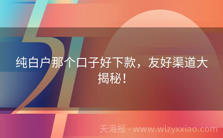纯白户那个口子好下款，友好渠道大揭秘！