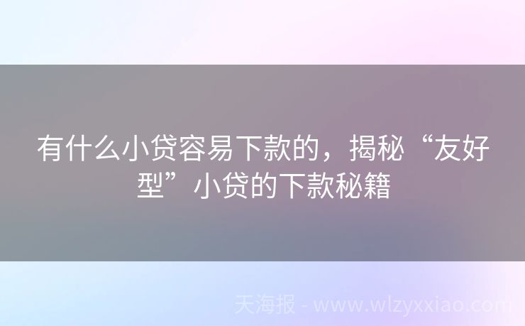 有什么小贷容易下款的，揭秘“友好型”小贷的下款秘籍