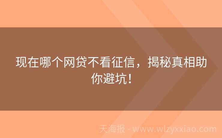现在哪个网贷不看征信，揭秘真相助你避坑！
