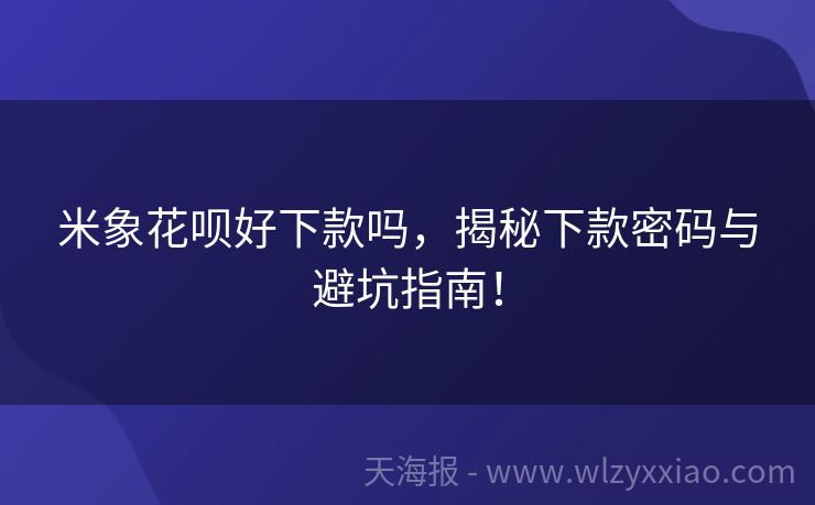 米象花呗好下款吗，揭秘下款密码与避坑指南！