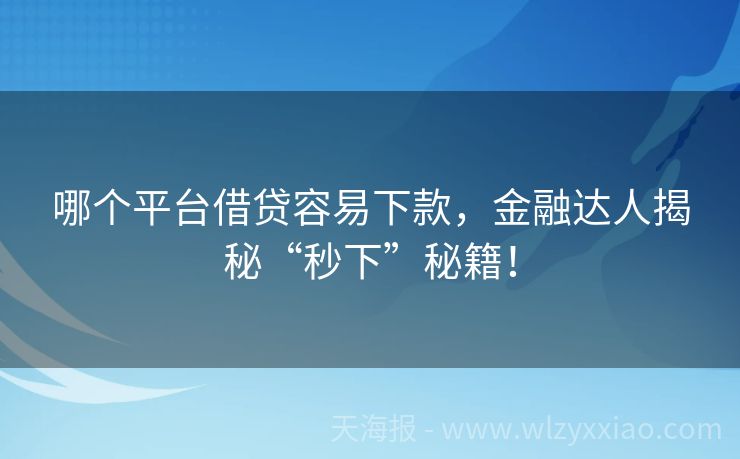 哪个平台借贷容易下款，金融达人揭秘“秒下”秘籍！
