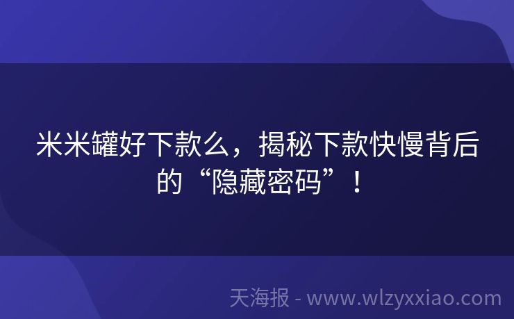 米米罐好下款么，揭秘下款快慢背后的“隐藏密码”！