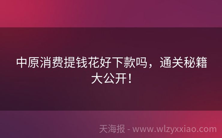 中原消费提钱花好下款吗，通关秘籍大公开！