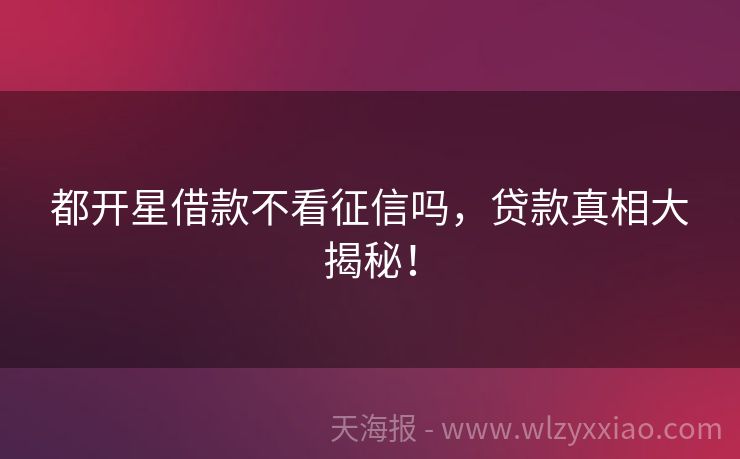 都开星借款不看征信吗，贷款真相大揭秘！