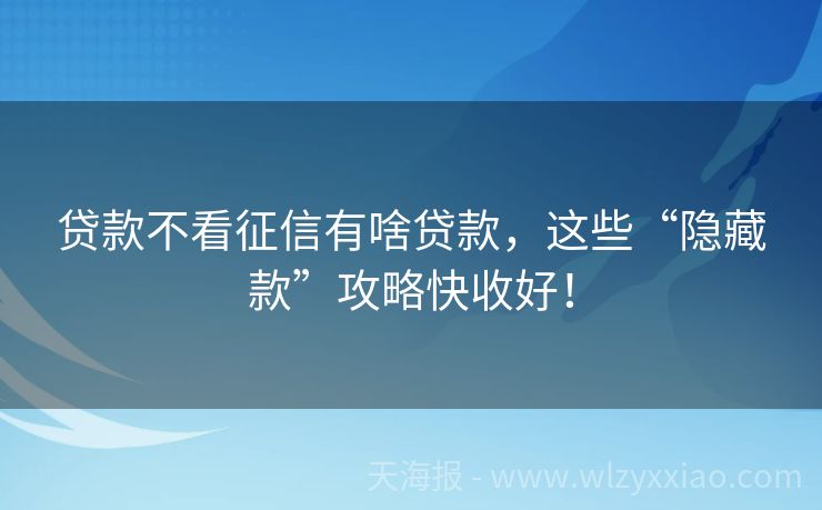 贷款不看征信有啥贷款，这些“隐藏款”攻略快收好！