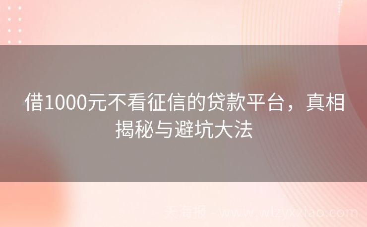 借1000元不看征信的贷款平台，真相揭秘与避坑大法