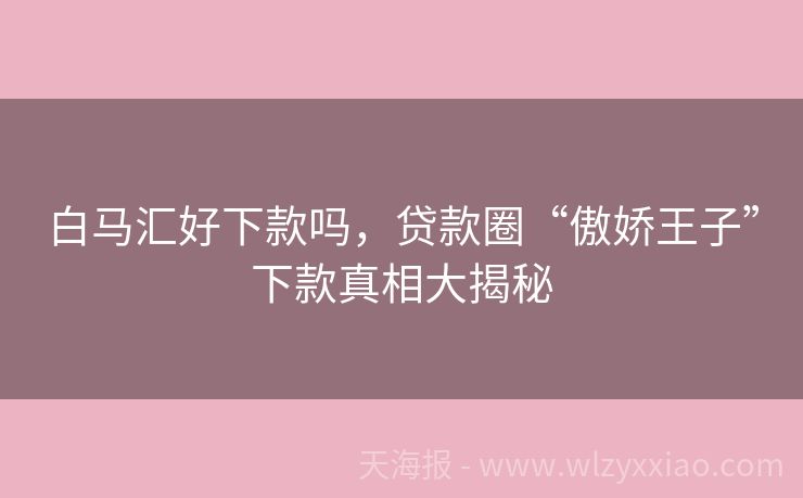 白马汇好下款吗，贷款圈“傲娇王子”下款真相大揭秘