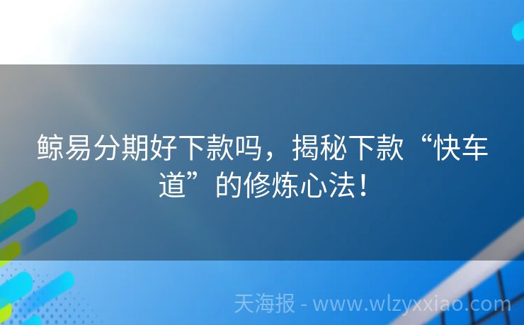 鲸易分期好下款吗，揭秘下款“快车道”的修炼心法！